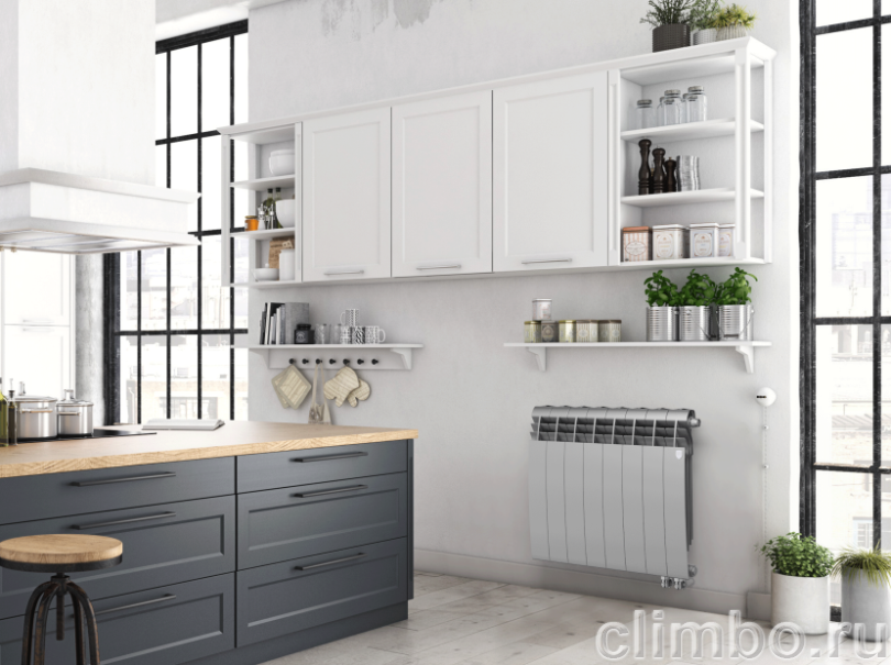 Радиатор Royal Thermo BiLiner 500 /Silver Satin VR - 10 секц. — фото товара