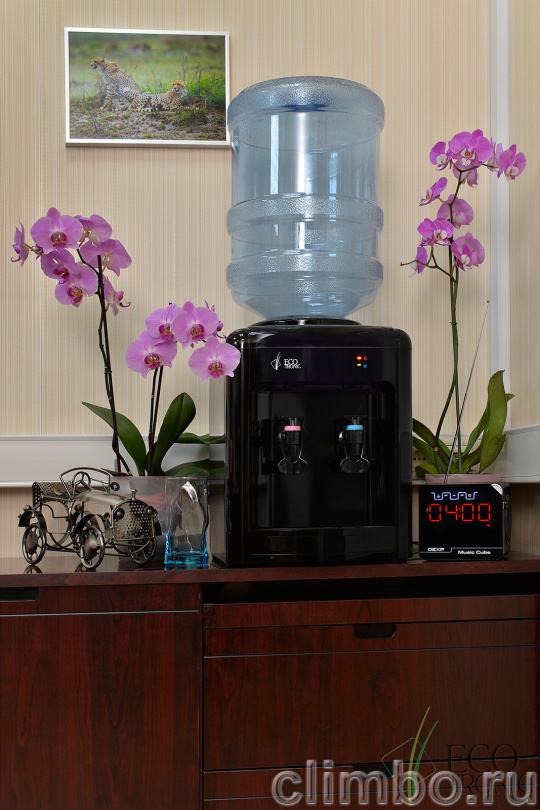Кулер Ecotronic H2-TE Black — фото товара