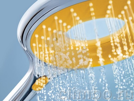 Ручной душ GROHE Rainshower Icon (2 режима), 27446000 — фото товара