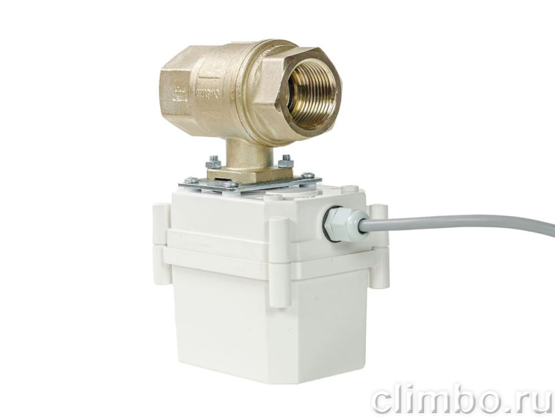 Кран с электроприводом PROFESSIONAL 12V ENOLGAS 1 ½” — фото товара