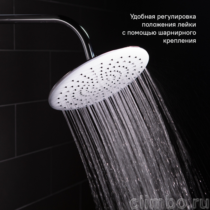 Душевая насадка верхняя круглая, IDDIS, 200SWRPi64 — фото товара