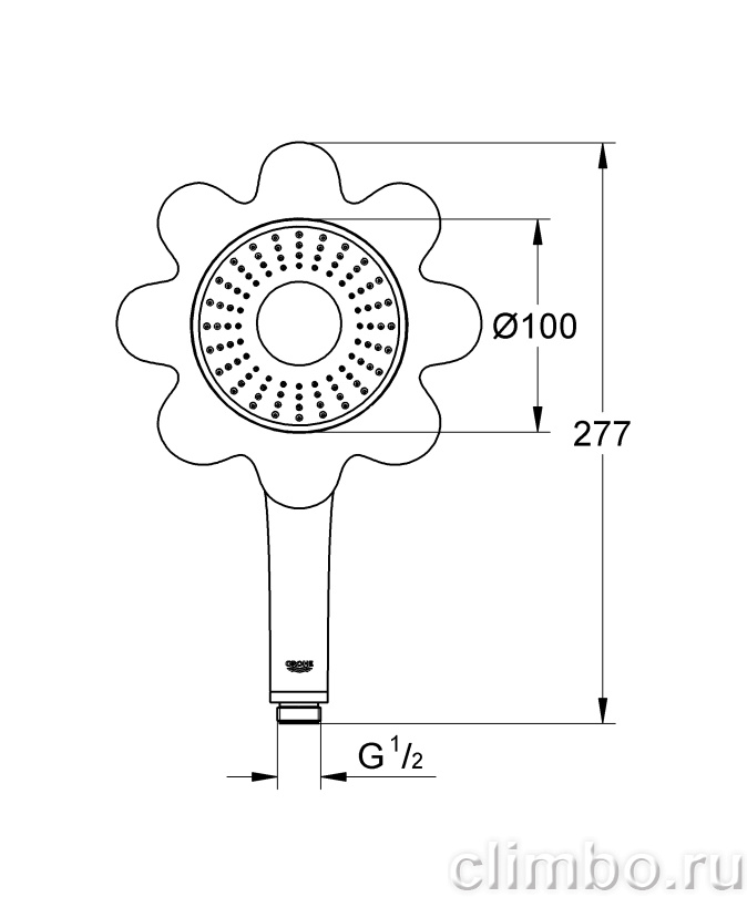 Ручной душ GROHE Rainshower Icon 100 (1 режим), 26115YF0 — фото товара