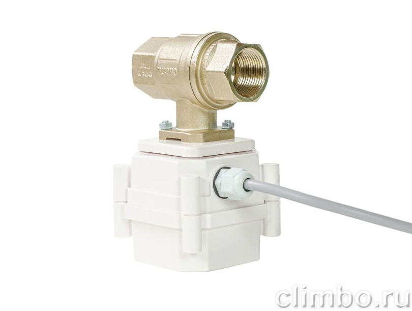 Кран с электроприводом ULTIMATE 12V BONOMI 1” — фото товара