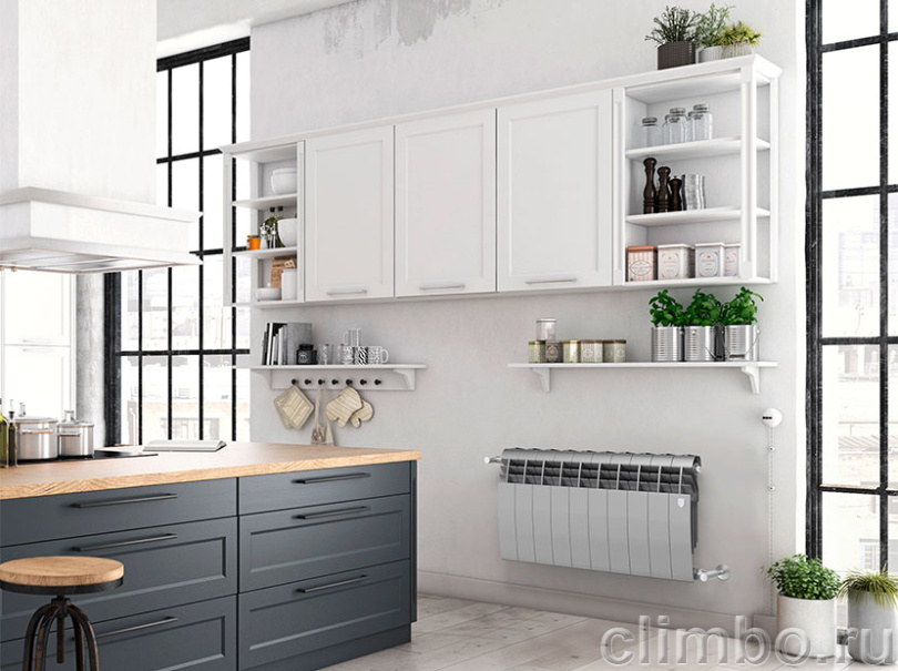 Радиатор Royal Thermo BiLiner 350 /Silver Satin - 10 секц. — фото товара