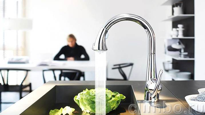 Смеситель для кухни GROHE Zedra с профессиональной лейкой, 32294001 — фото товара