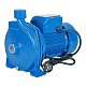 Центробежный насос Aquamotor ARCPm-750 — фото товара