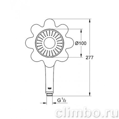 Ручной душ GROHE Rainshower Icon 100 (1 режим), 26115DU0 — фото товара
