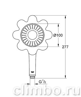 Ручной душ GROHE Rainshower Icon 100 (1 режим), 26115YR0 — фото товара