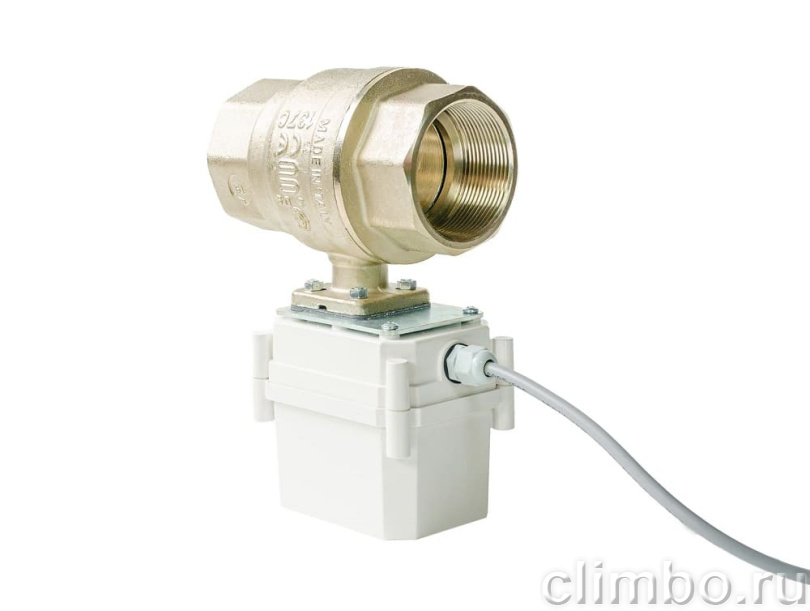 Кран с электроприводом PROFESSIONAL 220V ENOLGAS 1 ¼” — фото товара